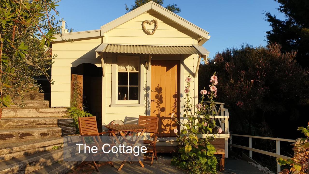 Bluff Hill Bed & Breakfast Napier Exterior photo